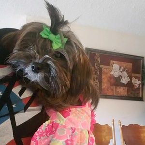 Meet your Posher, Vicky